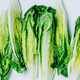 Illustration for article titled Good news, salad fans: Romaine is back